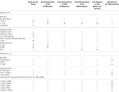 Alteration of the Oligodendrocyte Lineage Varies According to the Systemic Inflammatory Stimulus in Animal Models That Mimic the Encephalopathy of Prematurity